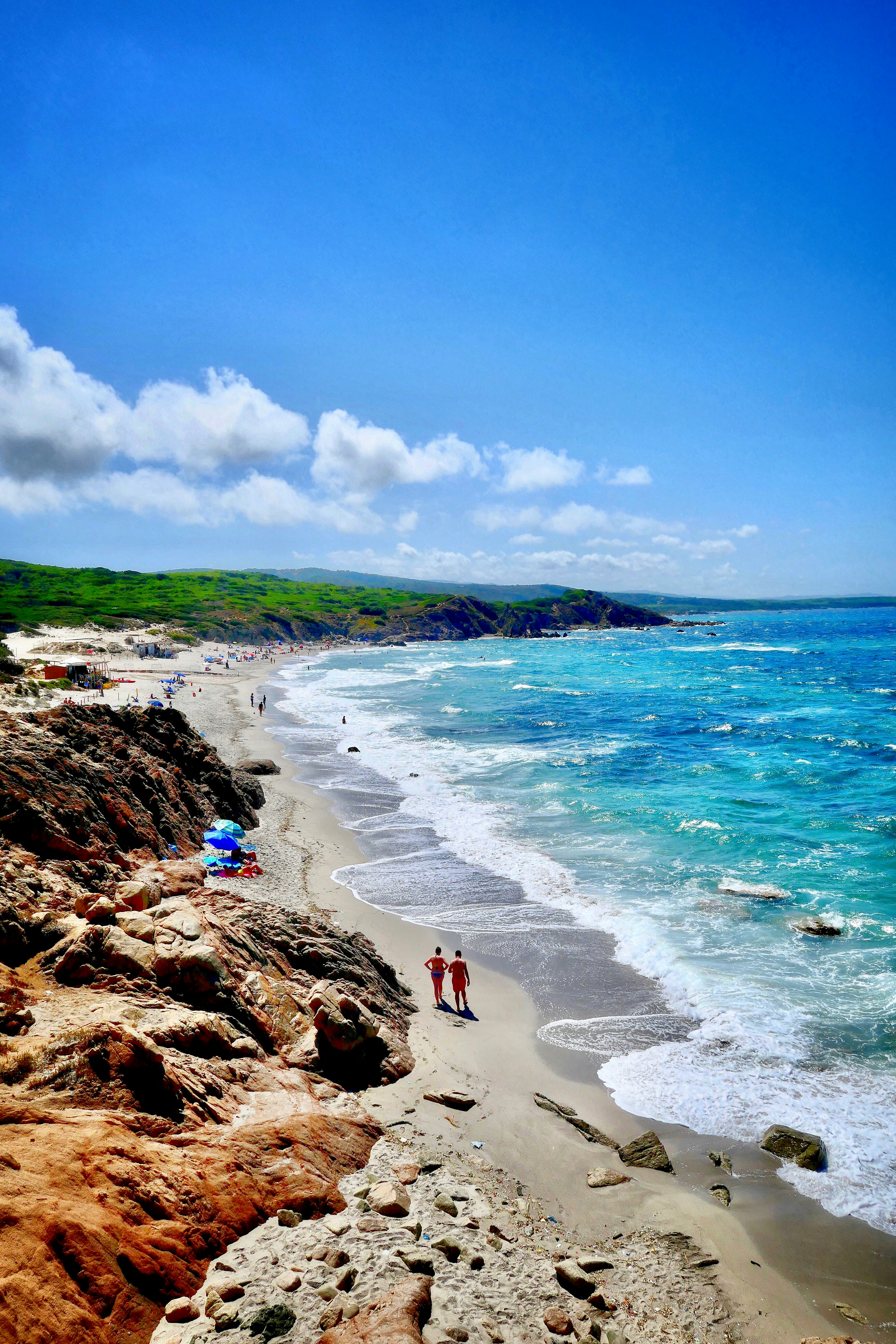 people on beach during daytime